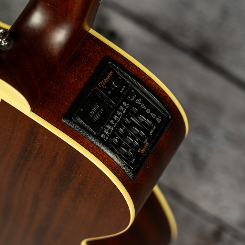 Takamine ETN40C