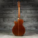 Takamine ETN40C
