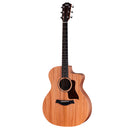 Taylor 24ce