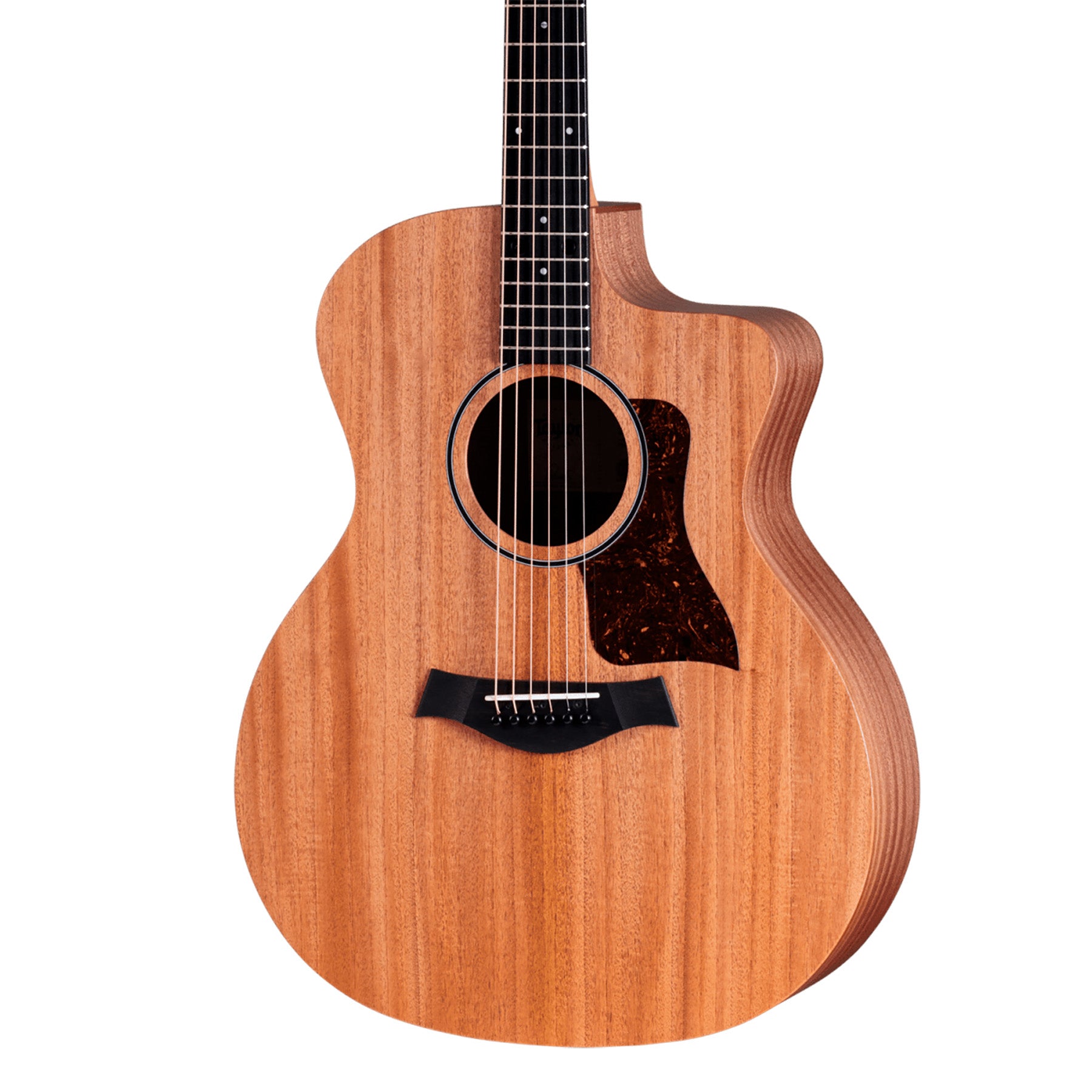 Taylor 24ce
