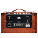 Circa 74 AV150-10 Acoustic Guitar/Vocal Amplifier