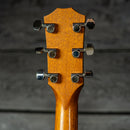 Taylor 110e