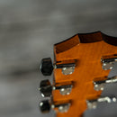 Taylor 110e
