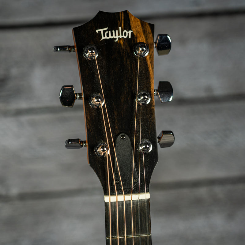 Taylor 210ce