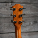 Taylor 210ce