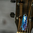 Taylor 214ce DLX LTD