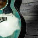 Taylor 214ce DLX LTD
