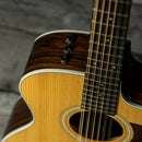Taylor 254ce