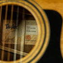 Taylor 312ce 12-Fret