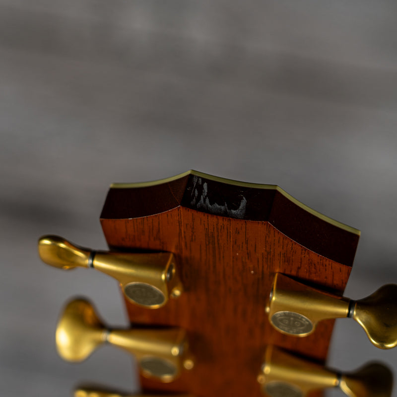 Taylor 916ce