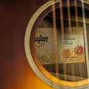 Taylor AD12e-SB