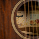 Taylor AD22e