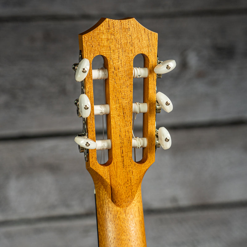 Taylor Academy 12e-N