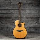 Taylor Builder's Edition K14CE