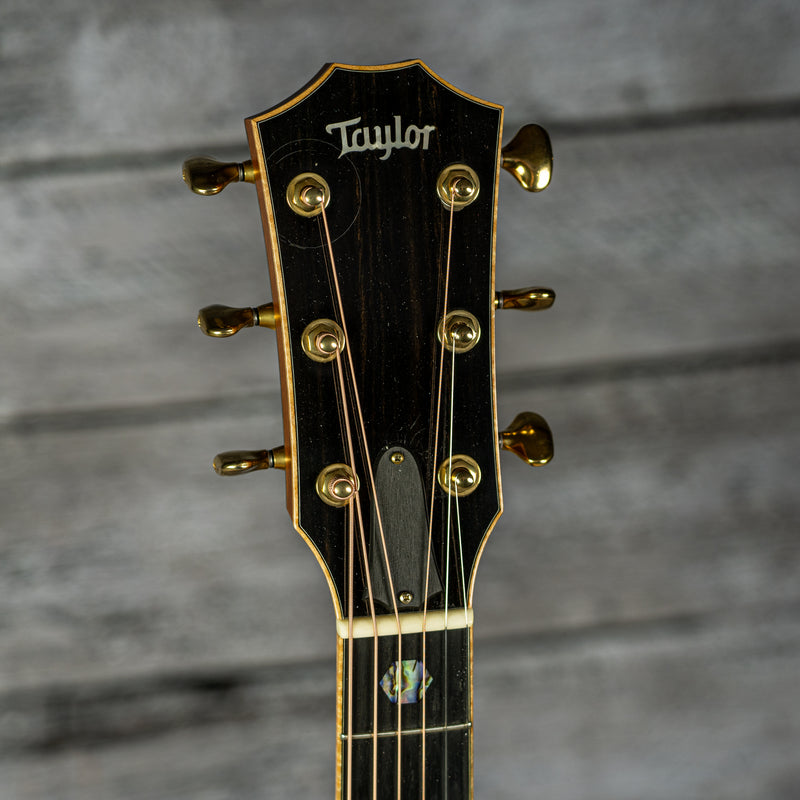 Taylor Cocobolo GS Fall Limited Edition