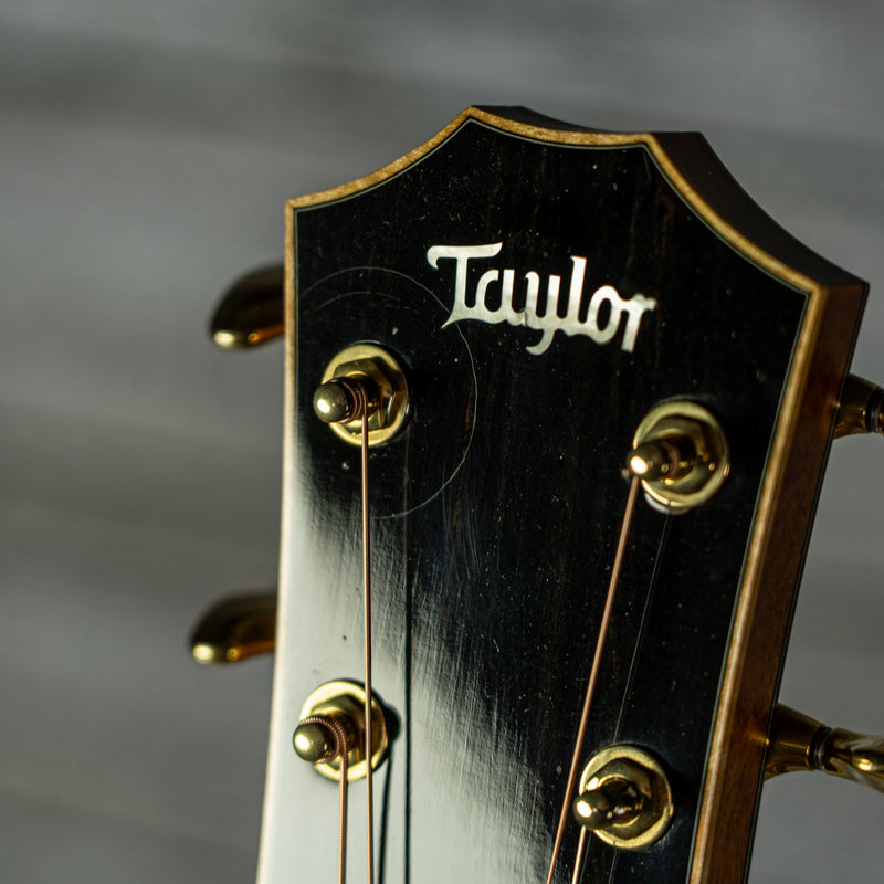 Taylor Cocobolo GS Fall Limited Edition