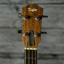 Taylor GS-Mini Bass
