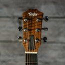 Taylor GS Mini-e African Ziricote