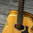Taylor GS Mini-e African Ziricote