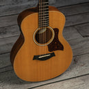 Taylor GS Mini-e Limited Edition Korina