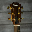 Taylor GS Mini-e Rosewood 50th Anniversary LTD