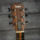 Taylor GS Mini Mahogany