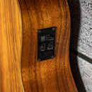 Taylor GS Mini
