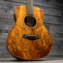 Taylor GS Mini