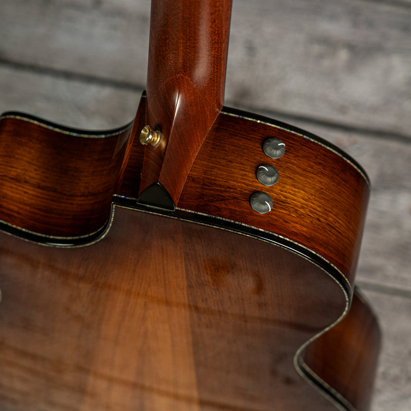Taylor PS14ce (DEMO)