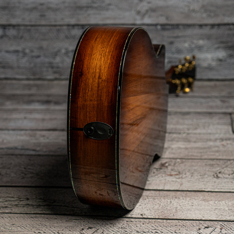 Taylor PS14ce (DEMO)