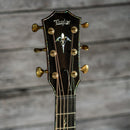 Taylor PS14ce (DEMO)