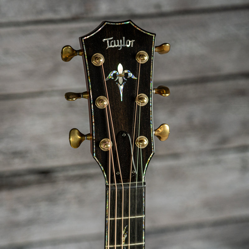 Taylor PS14ce (DEMO)