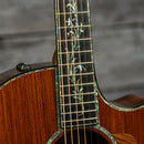 Taylor PS14ce (DEMO)