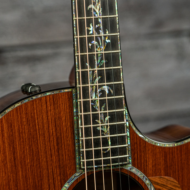 Taylor PS14ce (DEMO)