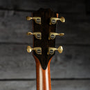 Taylor PS14ce (DEMO)
