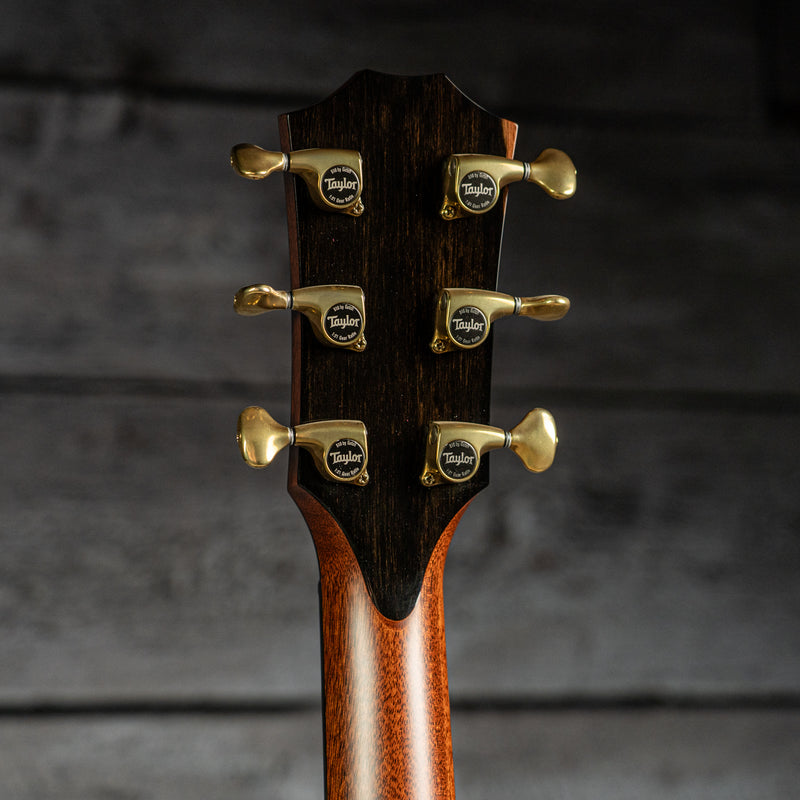 Taylor PS14ce (DEMO)