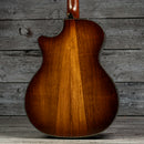 Taylor PS14ce (DEMO)