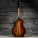 Taylor PS14ce (DEMO)