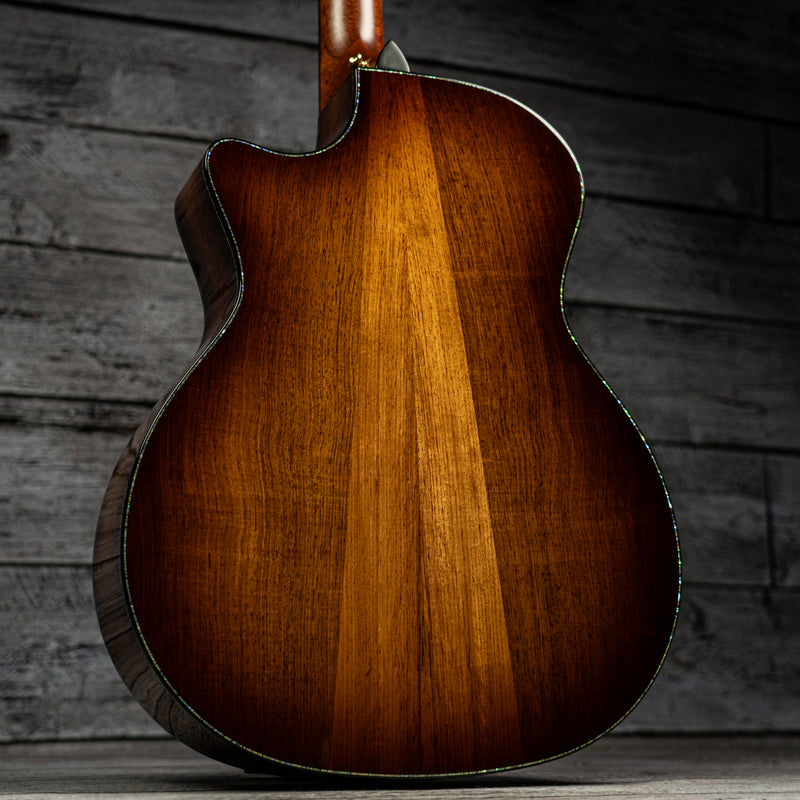 Taylor PS14ce (DEMO)