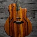 Taylor T5-X