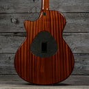 Taylor T5-X