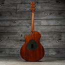 Taylor T5-X