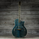 Taylor T5 Pro
