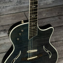 Taylor T5 Pro