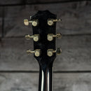 Taylor T5 Pro