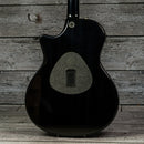 Taylor T5 Pro