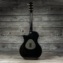 Taylor T5 Pro