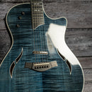 Taylor T5 Pro