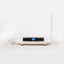 Moog Theremini