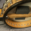 Vega Little Wonder Banjo Guitar 1924